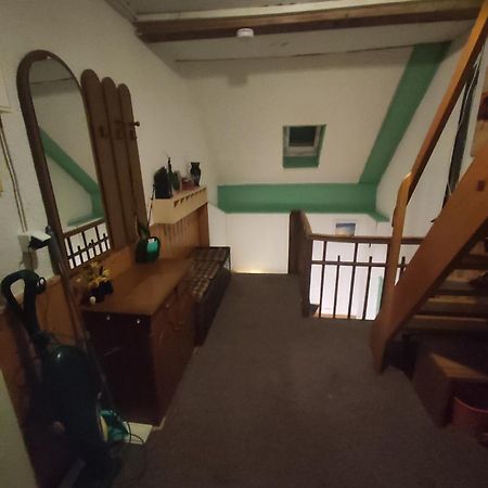 Kleine Gemuetliche Wohnung Zwickau Ngoại thất bức ảnh