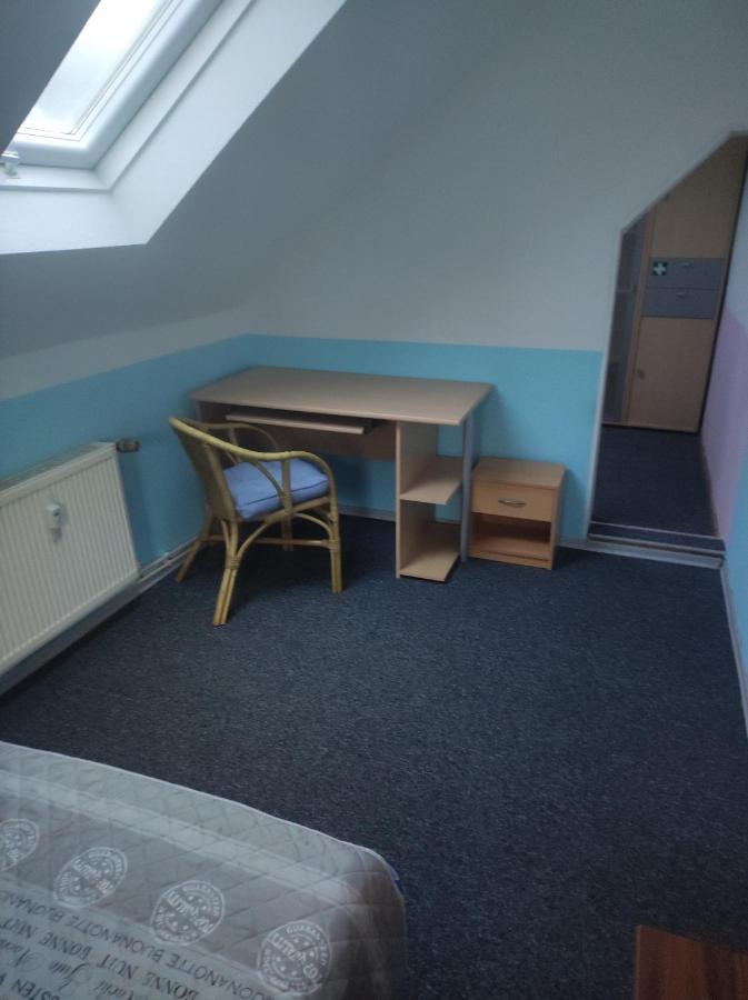 Kleine Gemuetliche Wohnung Zwickau Ngoại thất bức ảnh