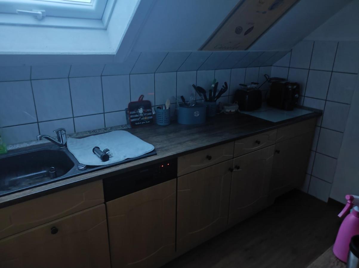 Kleine Gemuetliche Wohnung Zwickau Ngoại thất bức ảnh