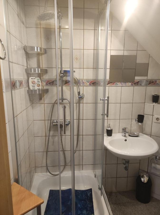 Kleine Gemuetliche Wohnung Zwickau Ngoại thất bức ảnh